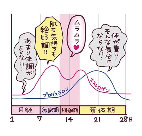 生理周期 ムラムラ|女性の性欲の流れを徹底解説【生理中・排卵日・妊娠。